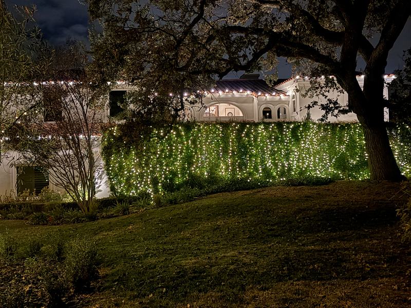Tall hedge covered in warm white mini lights under an oak, with roofline lights behind
