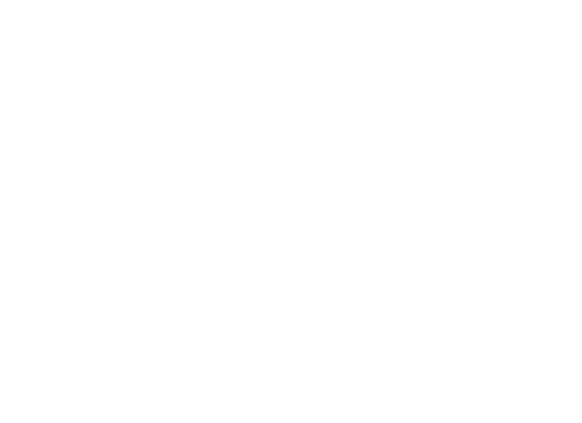 Pronto Christmas Lights