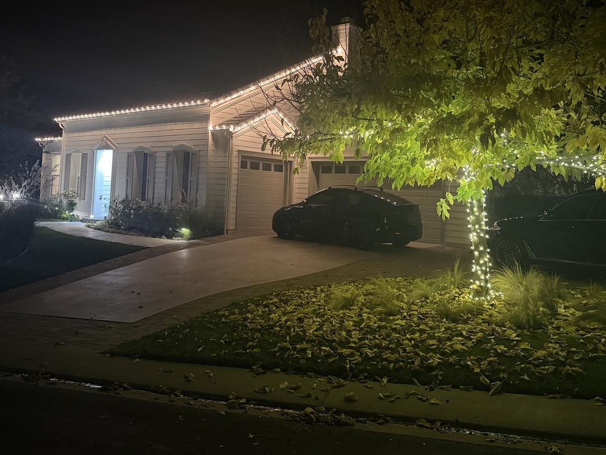 Home with warm white roofline lights and a tree wrapped at the trunk