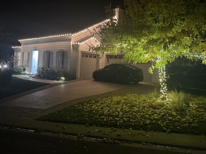 Home with warm white roofline lights and a tree wrapped at the trunk